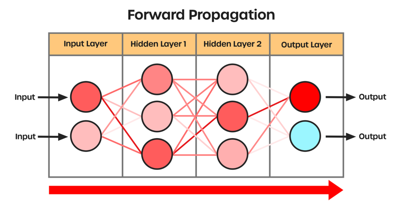Forward Propagation through Neural Network