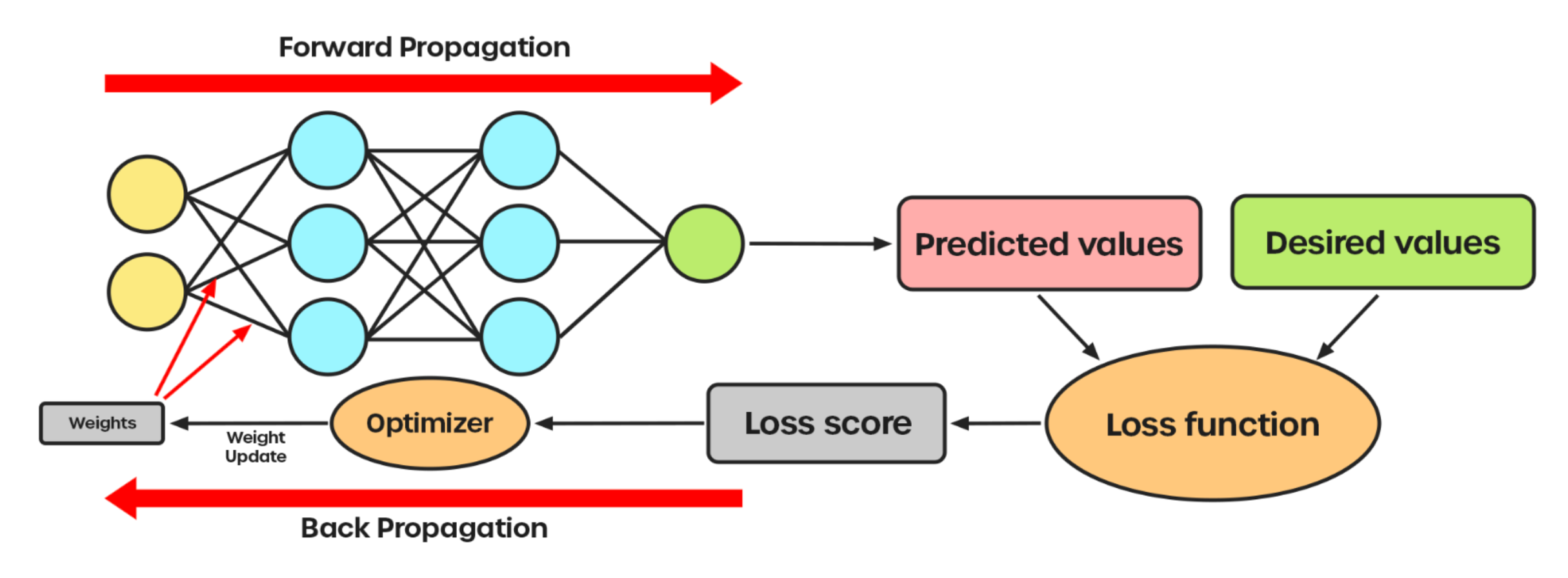 Neural Network Training Process showing Forward and Backward Propagation